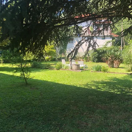 Labod, Unique At The * Most Na Soci